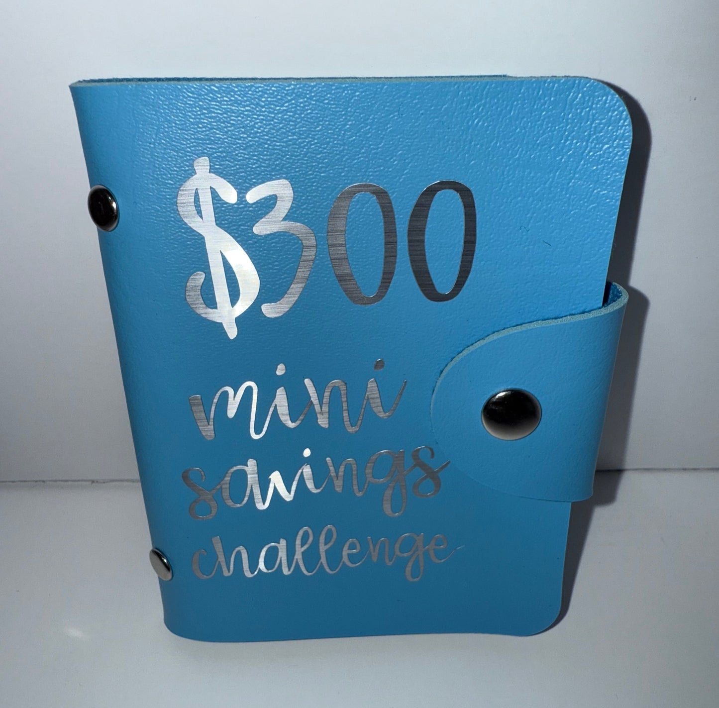 $300 Mini Wallet Savings Challenge